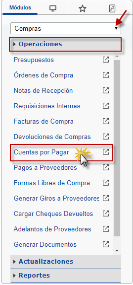 Ingresando a Cuentas por pagar