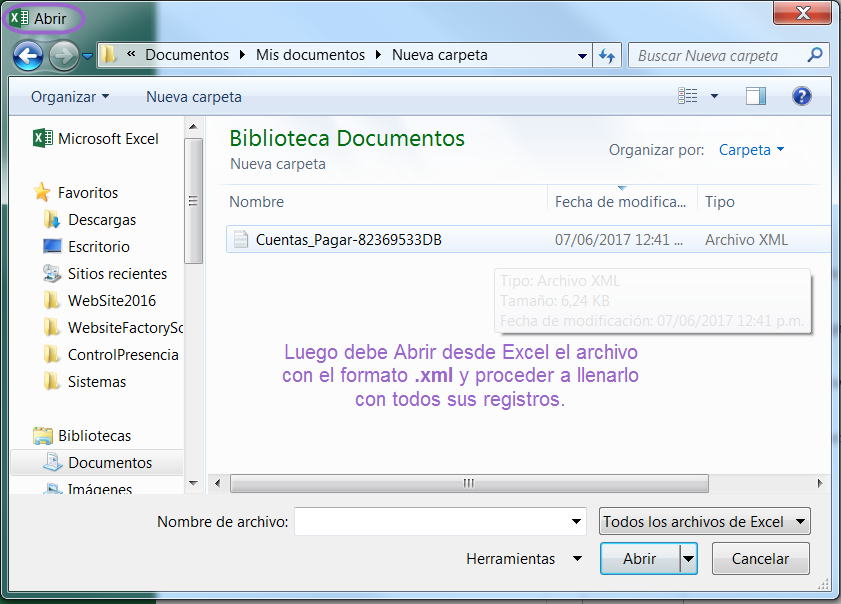 Abriendo Formato desde Excel