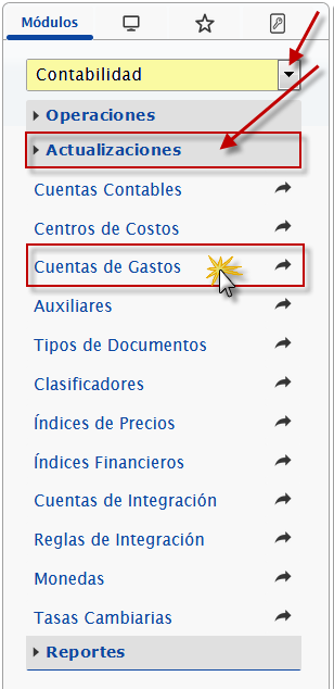 Seccion de Cuentas de Gastos