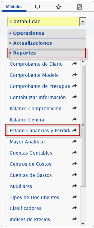 Ingresando a Reportes de Estado de Ganancias y Pérdidas