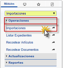 Ingresando al formulario - Importaciones