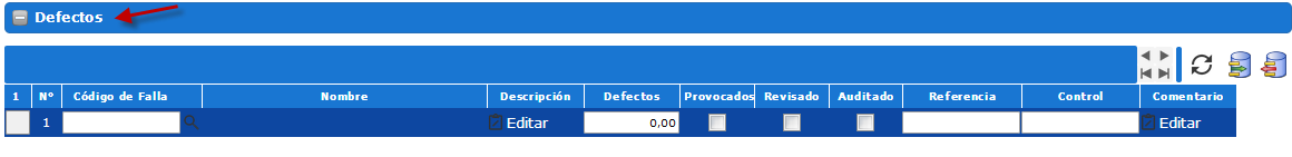 Sección Defectos