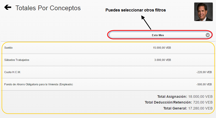 Consultas - Totales por concepto