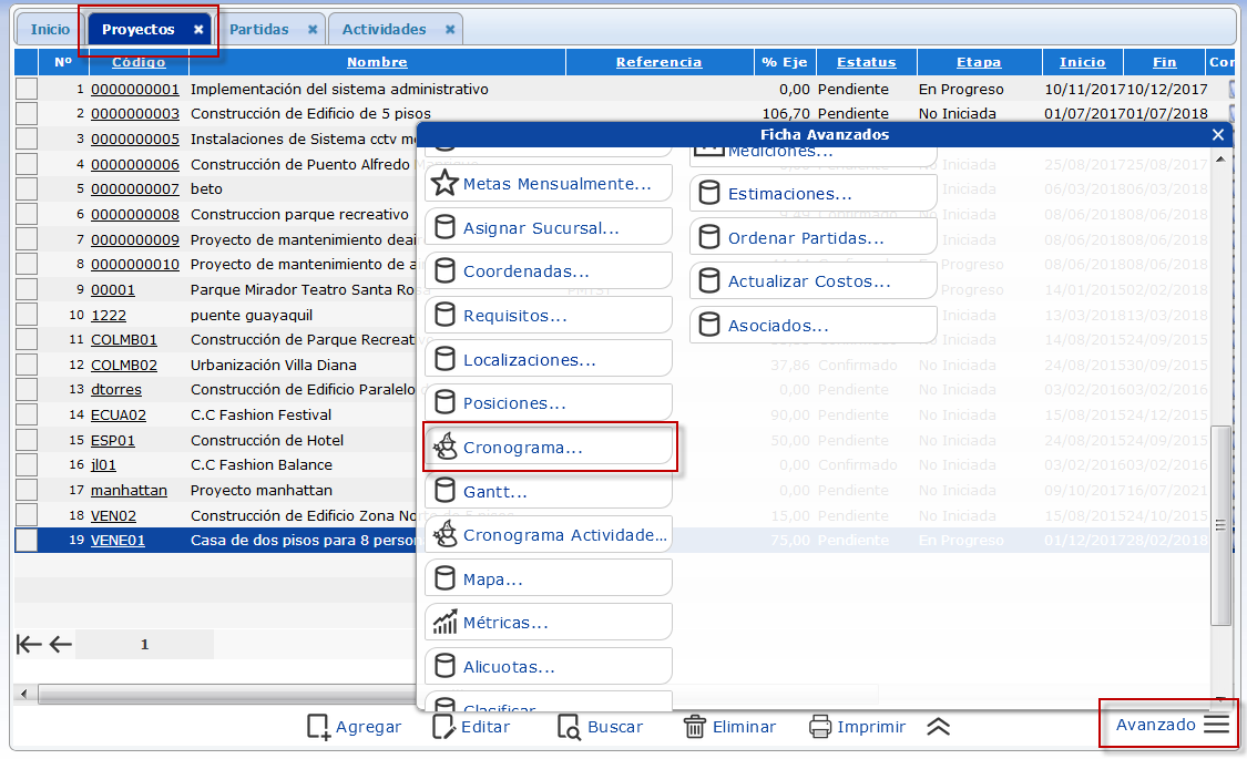Ficha 'Avanzado' de Proyectos y Botón Cronograma