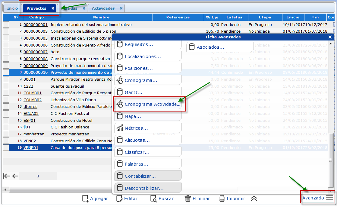 Ficha 'Avanzado' de Proyectos y Botón Cronograma Actividades