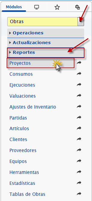 Reportes de Proyectos