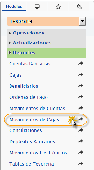 Modulo Tesoreria