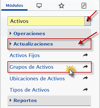 Seccion Actualizaciones, Opcion Grupos de Activos