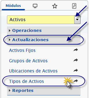 Seccion Actualizaciones, Opcion Tipos de Activos